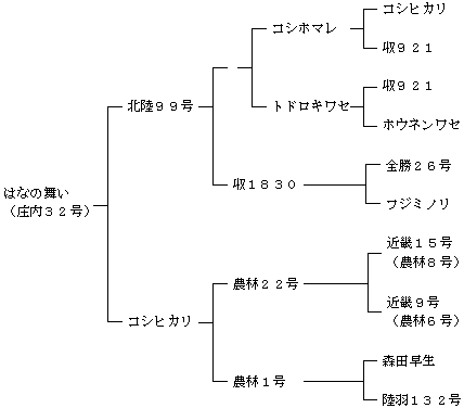 はなの舞いの来歴